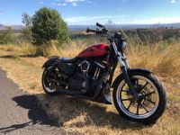 Sporty May 2020 3.jpg Sporty May 2020 3.jpg